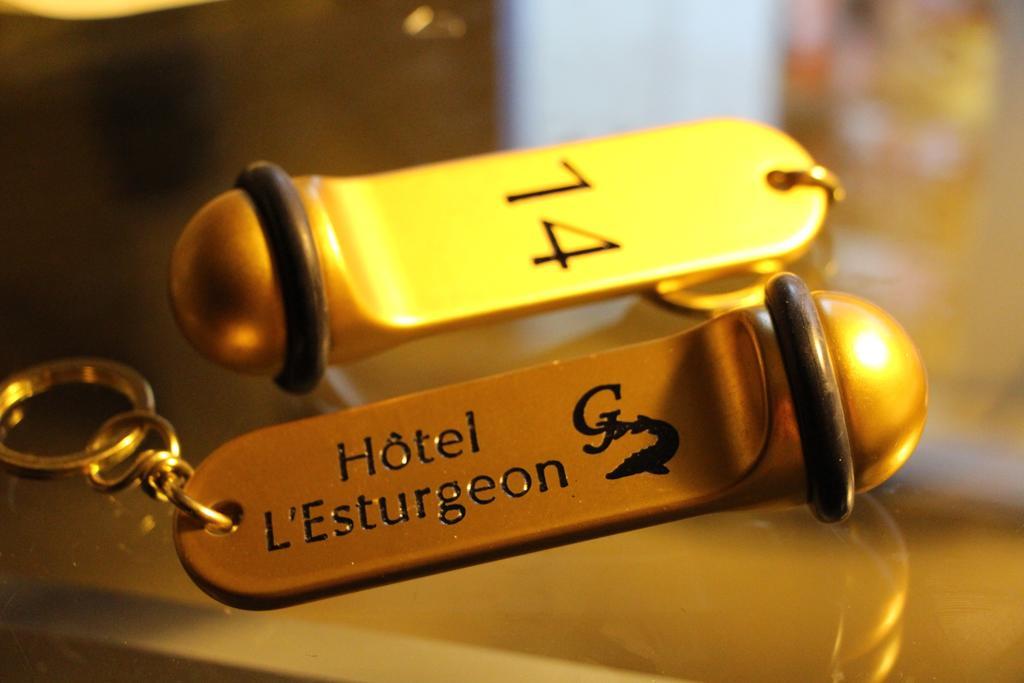 Hotel L'Esturgeon Poissy Ngoại thất bức ảnh